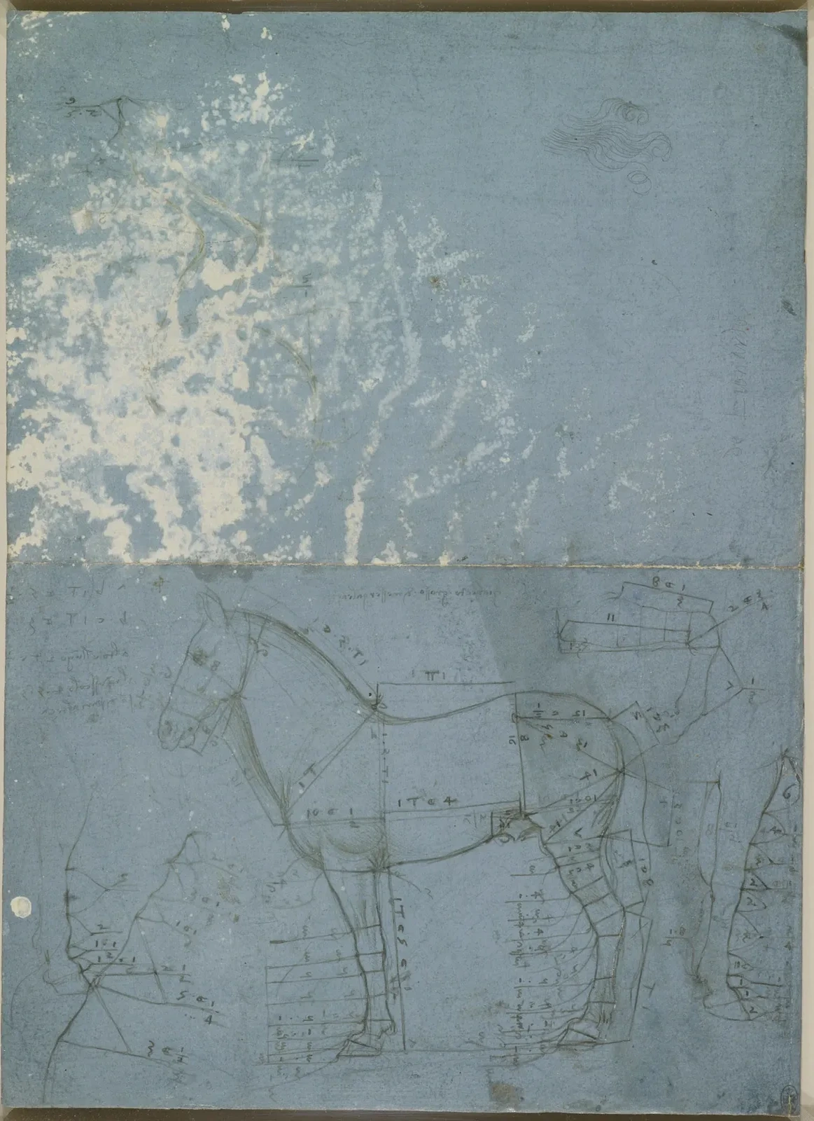 Étude des proportions d'un cheval, Léonard de Vinci