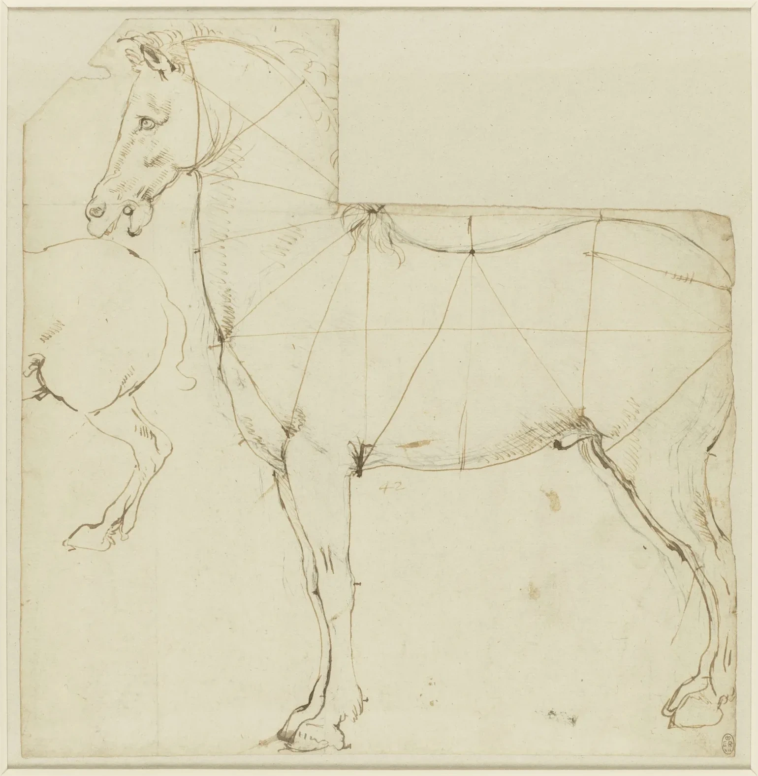 Étude des proportions d'un cheval, Léonard de Vinci