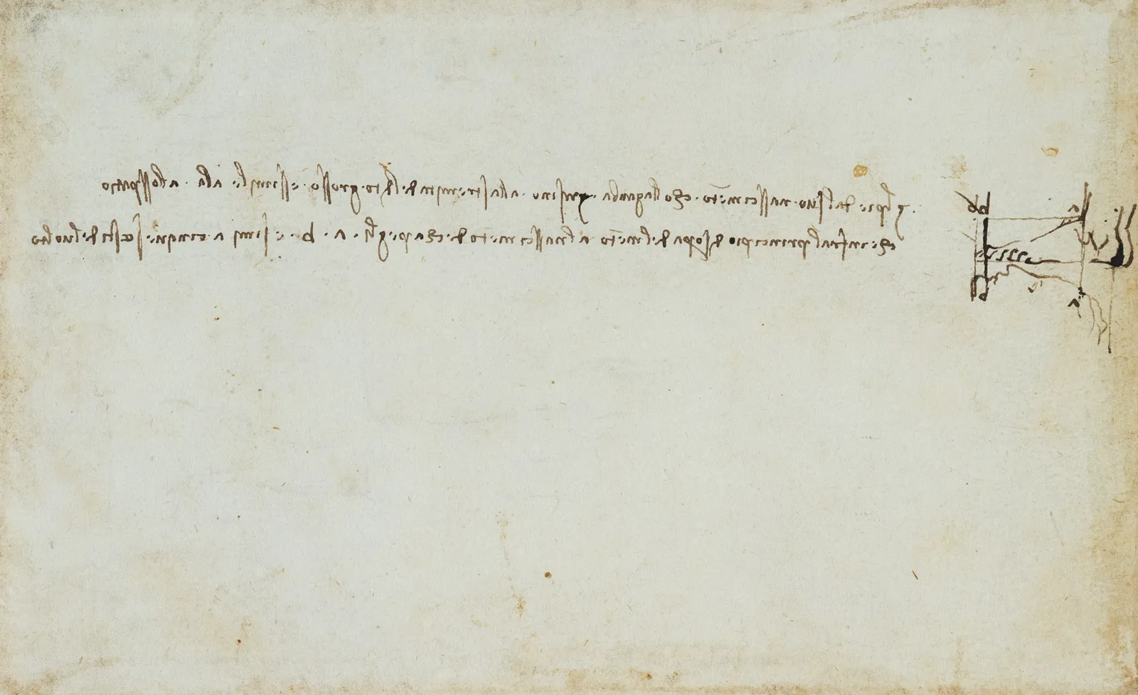 Étude des proportions du pied, Léonard de Vinci