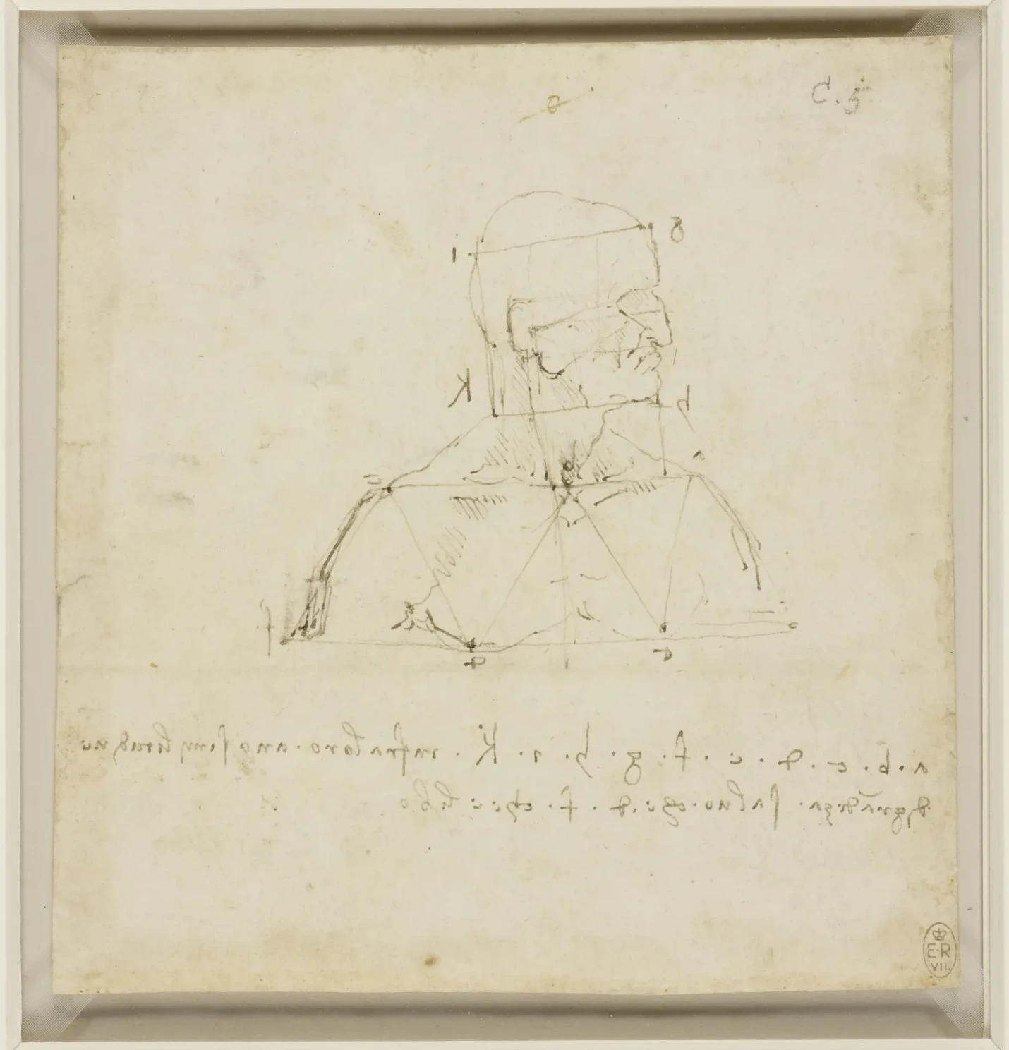 Étude des proportions de la tête et du buste, Léonard de Vinci
