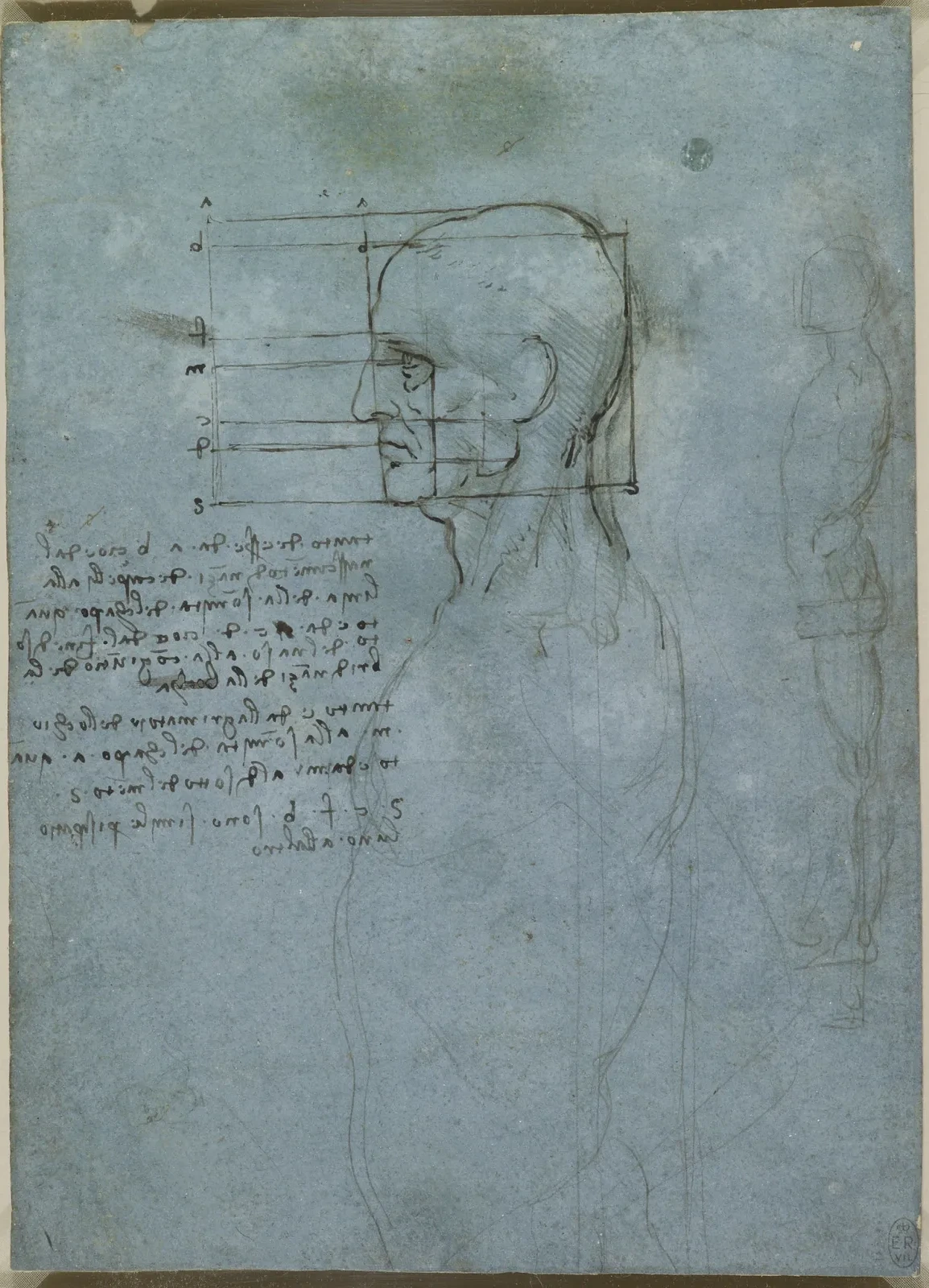 Étude des proportions de la tête et du visage, Léonard de Vinci