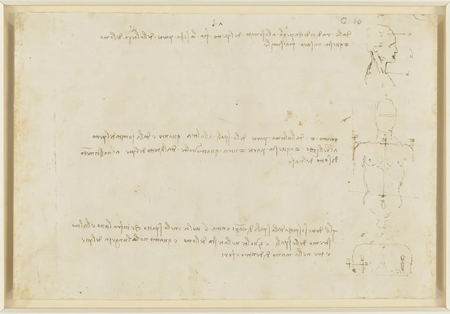 Study of the Proportions of the Head and Upper Body, Leonardo da Vinci