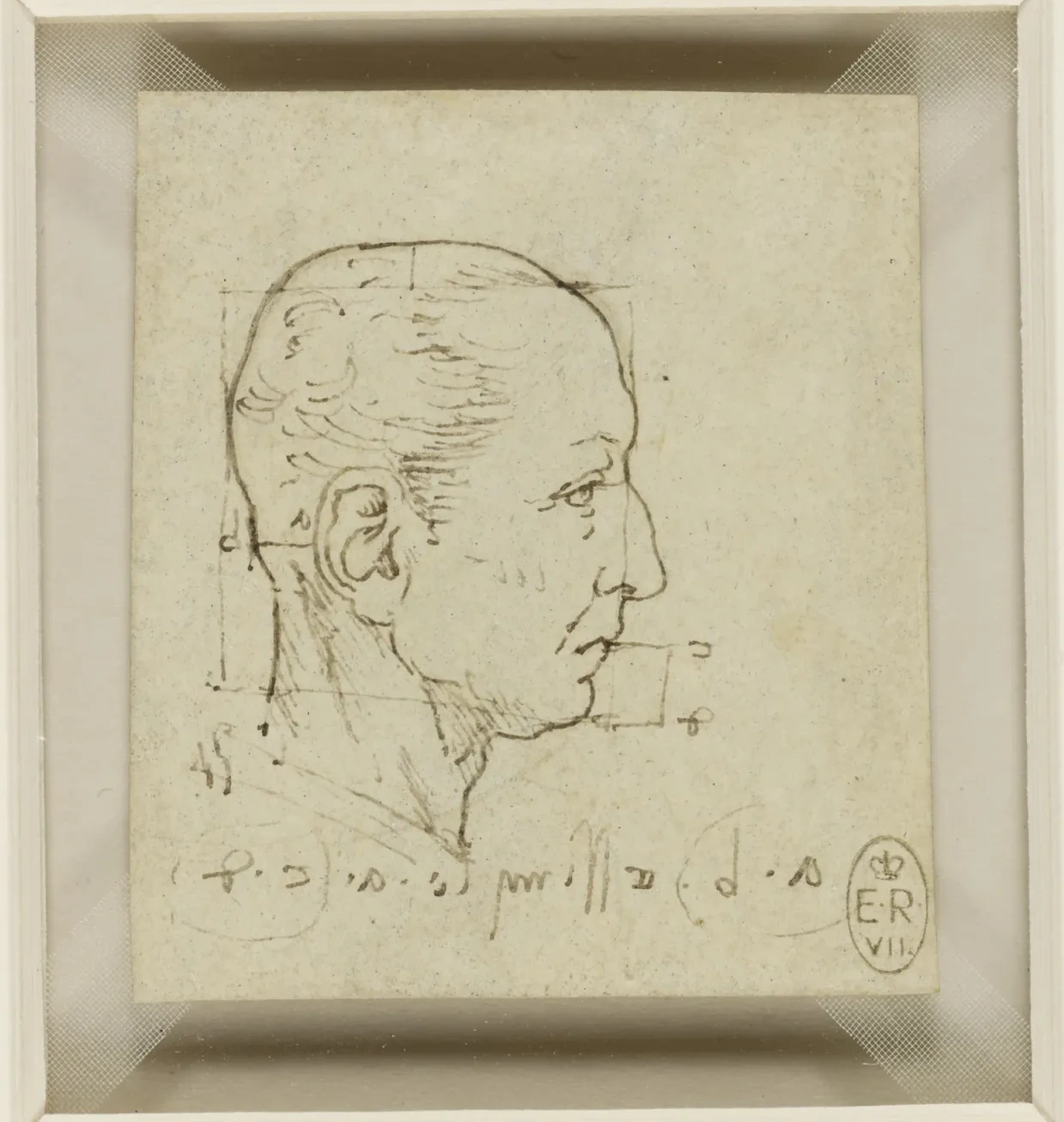 Étude des proportions de la tête, Léonard de Vinci