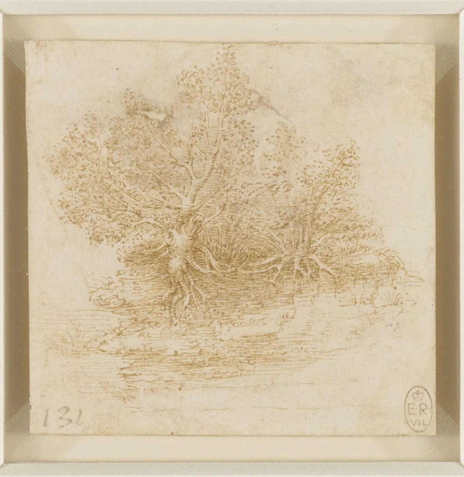 Study of Two Trees Growing beside a Stream, Leonardo da Vinci