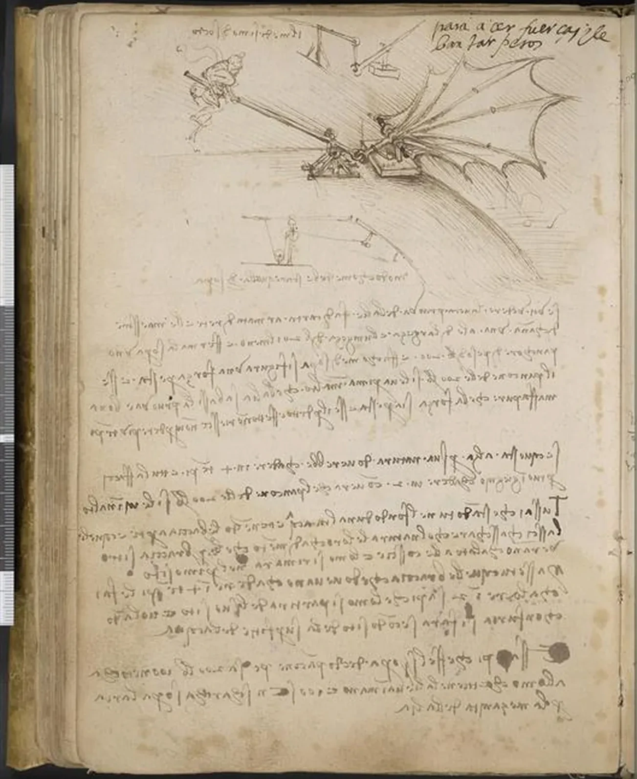 Essai de résistance à la charge d'une aile, Léonard de Vinci