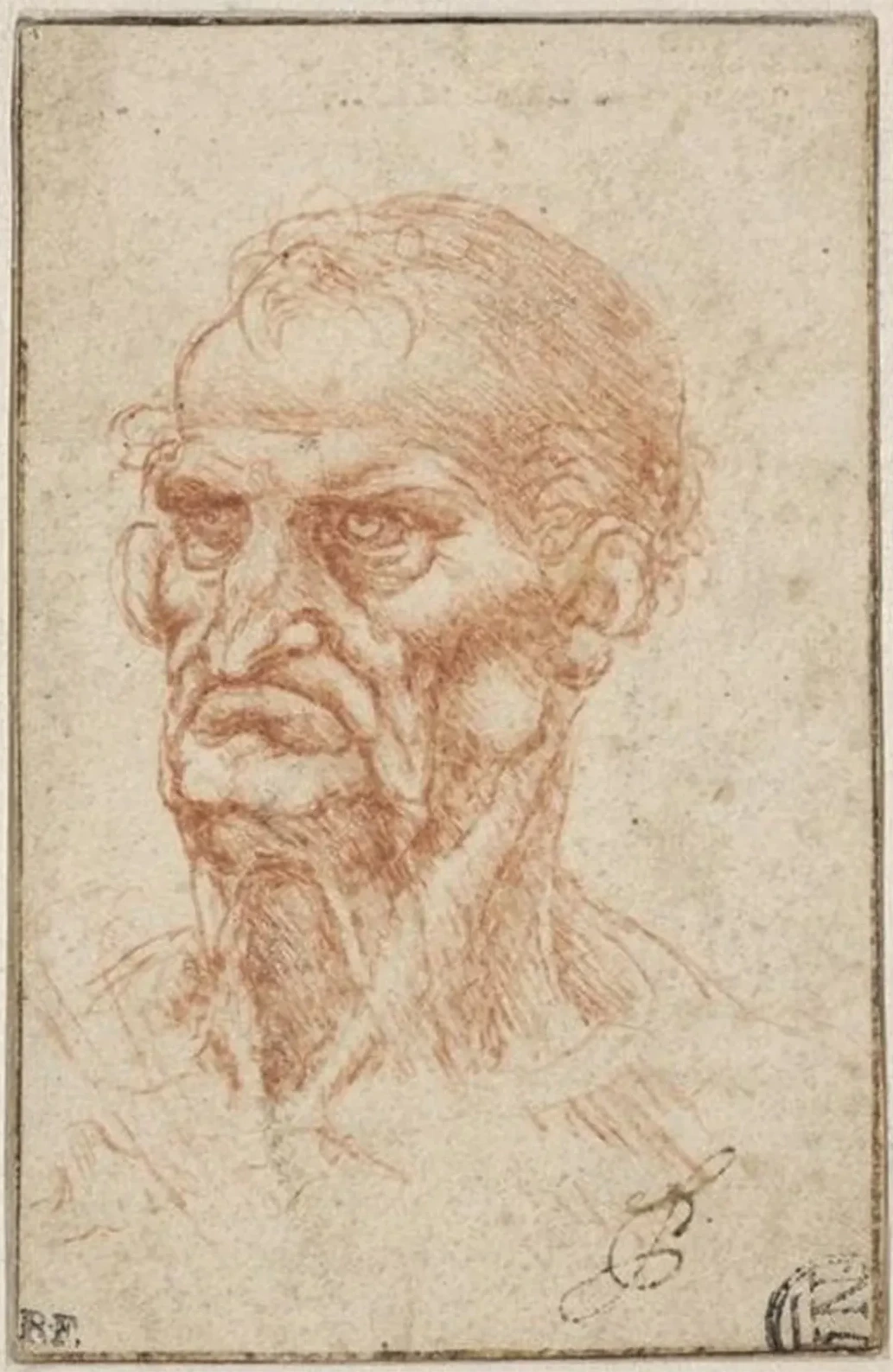 Tête d'homme âgé, Leonardo da Vinci