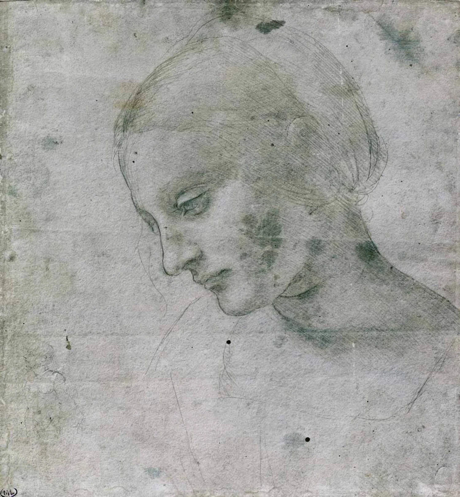 Tête de jeune femme, Léonard de Vinci