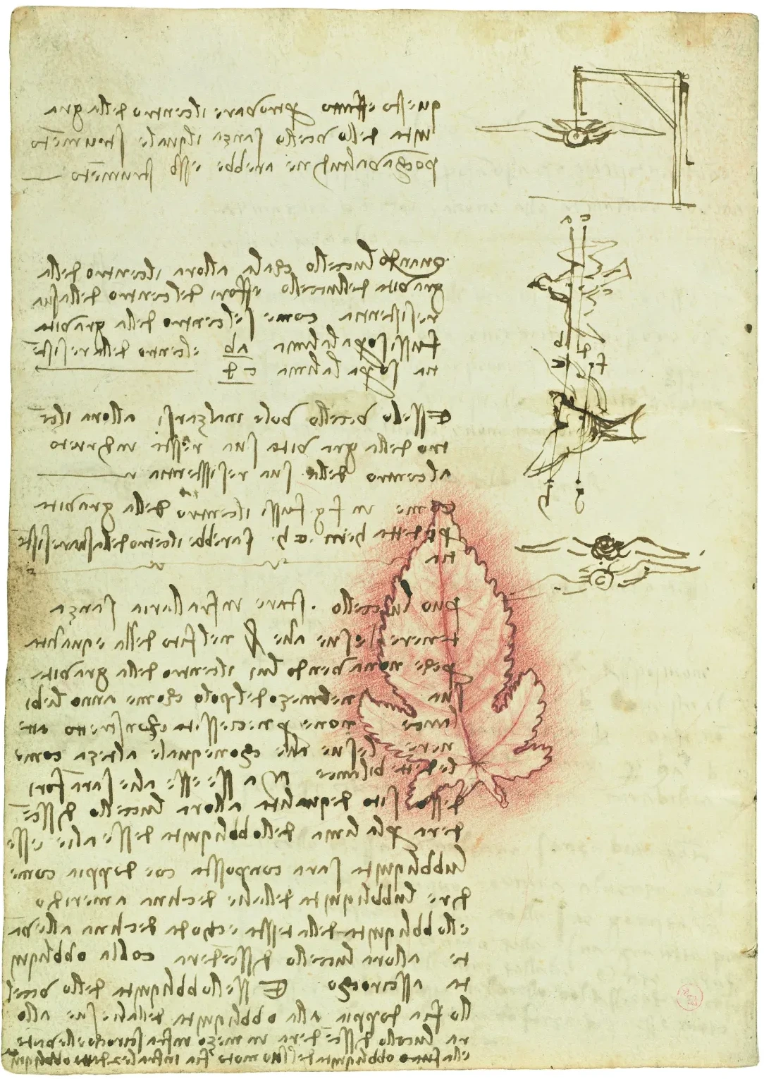 Thoughts and Studies regarding the Centre of Gravity in Birds, Leonardo da Vinci