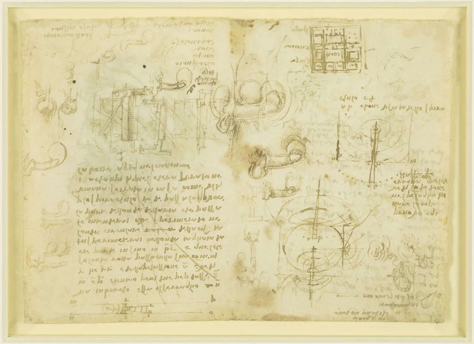 Études scientifiques diverses sur le mouvement des ondes et sur les organes génitaux masculins et féminins, Léonard de Vinci