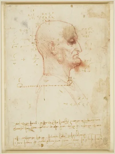 Bald Man in Profile