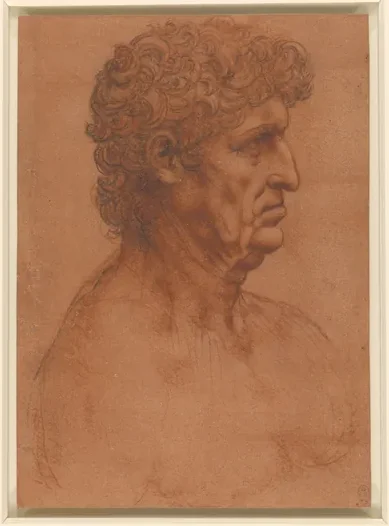 Bust of an Older Man in Profile (Gian Giacomo Trivulzio?)
