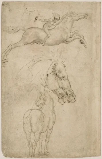 Cavalier allant au galop, tête de cheval de profil, cheval vu par la croupe