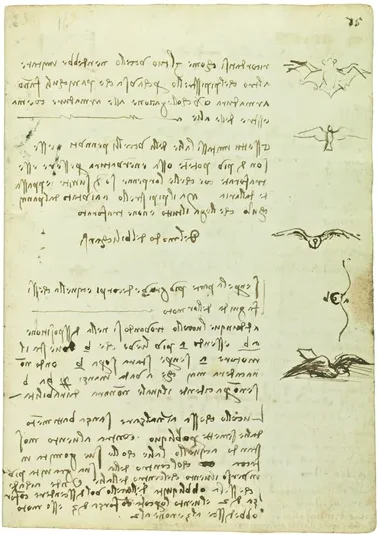 Comparison between the Wings of Bats and Birds