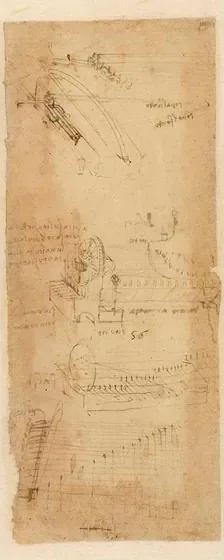 Dessin d'un instrument à clavier (viola organista)
