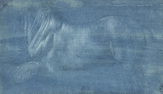 Drawing of the Body of a Horse