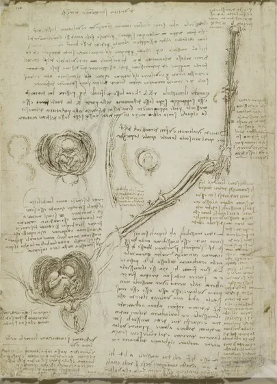 Dessins du fœtus dans l'utérus et des trois membranes qui l'entourent, et des mouvements de l'articulation du coude