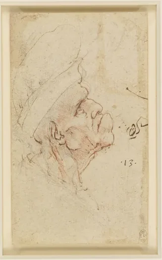 Grotesque Head of an Old Man with a Hat, Seen in Profile