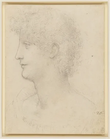 Head and Shoulders of a Youth in Profile (Salai?)