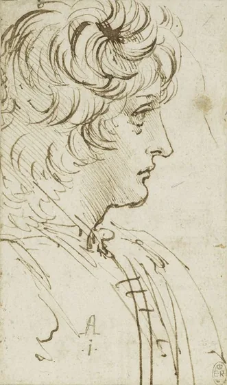 Head and Shoulders of a Youth in Profile