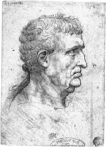 Head of a Man in Profile