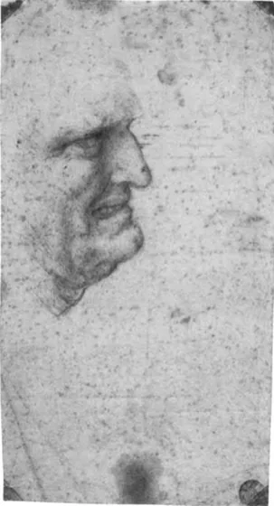 Head of a Man in Profile