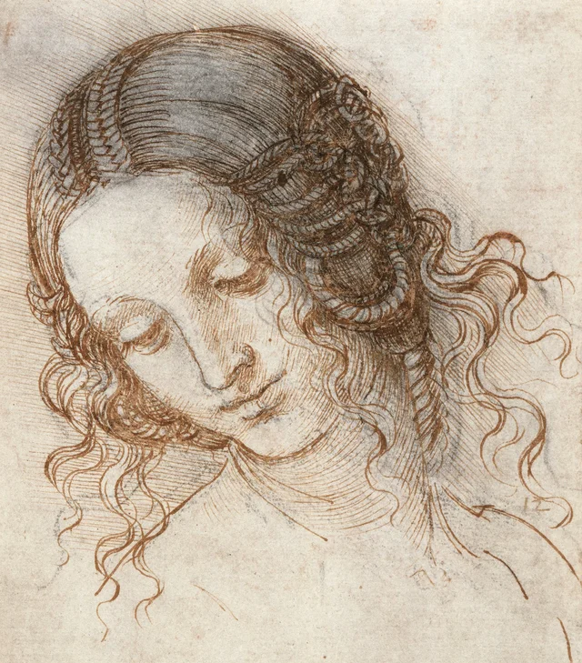 Cabeza de Leda, Leonardo da Vinci