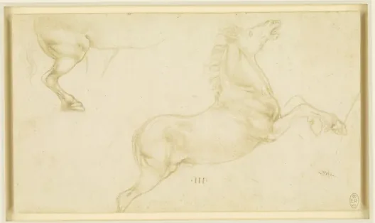 Études de cheval