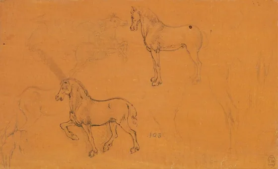 Études de cheval