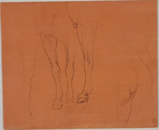 Études de cheval