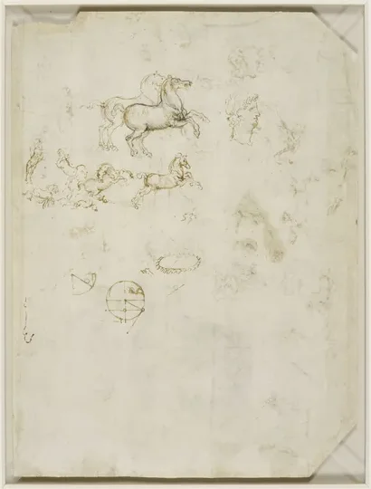 Études de cheval