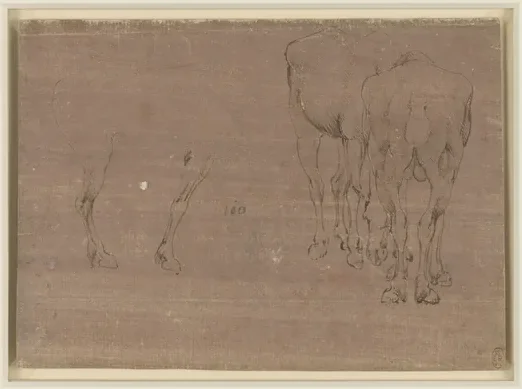 Études de cheval et étude d'un mulet