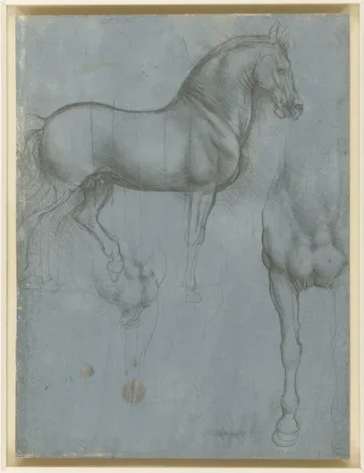Horse Studies
