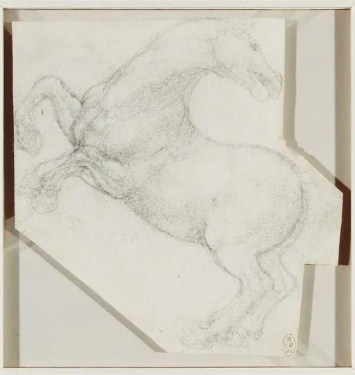 Horse Study