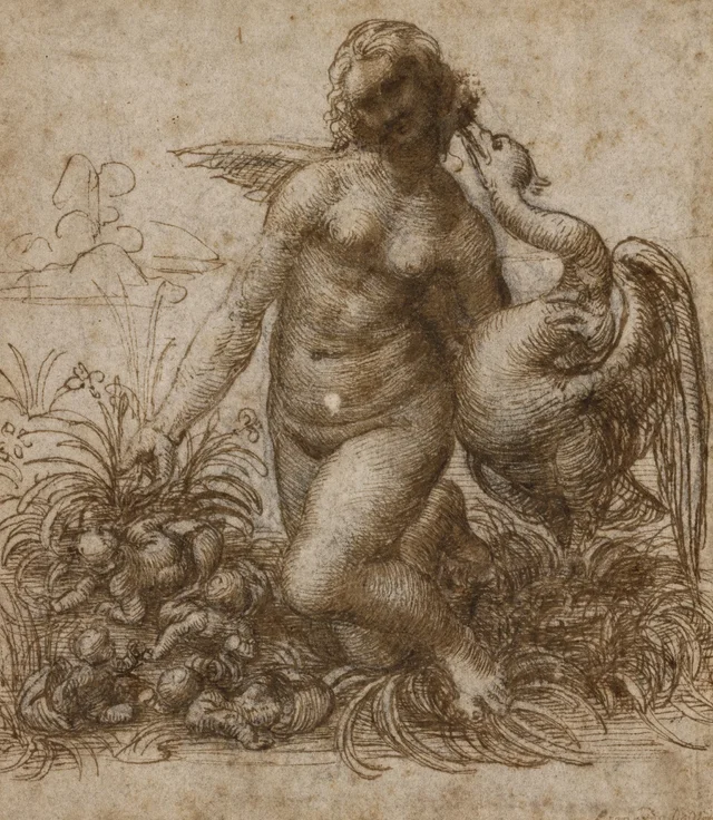 Leda y el cisne, Leonardo da Vinci