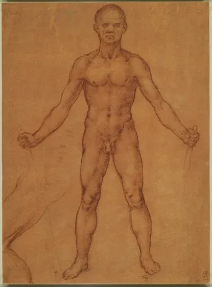 Nu masculin vu de face