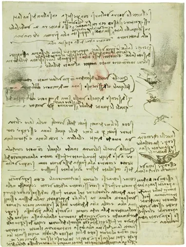 Notes on Changes of Direction during Flight