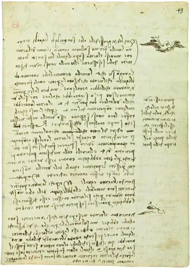 Notes sur le vol plané des oiseaux