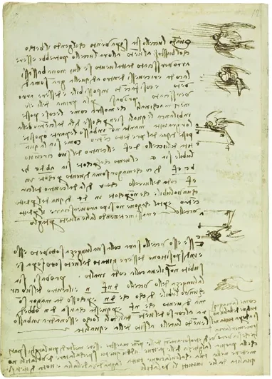 Notes on the Position of a Bird in Flight in Relationship to the Wind