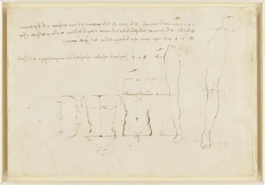 Notes on the Proportional Distances of Parts of the Body to Each Other