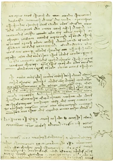 Notes on the Various Phases of Flight