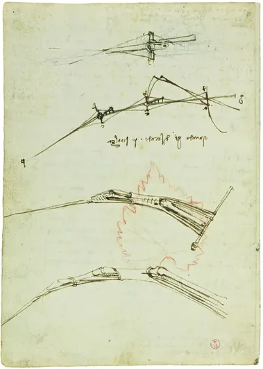 On the Movement of Birds' Wings