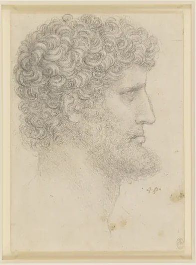 Profile Study of a Bearded Man