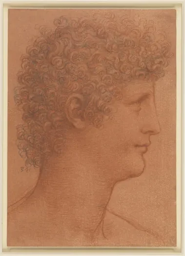 Profile Study of a Youth (Salai?)
