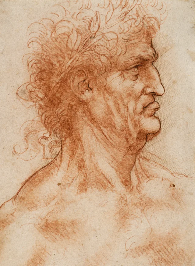 Estudio de perfil de un anciano coronado de laurel, Leonardo da Vinci