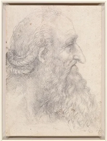 Profile Study of an Old Man with Beard and Braided Hair
