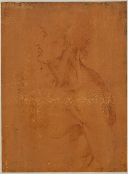 Profile Study of the Head and Upper Torso of a Man