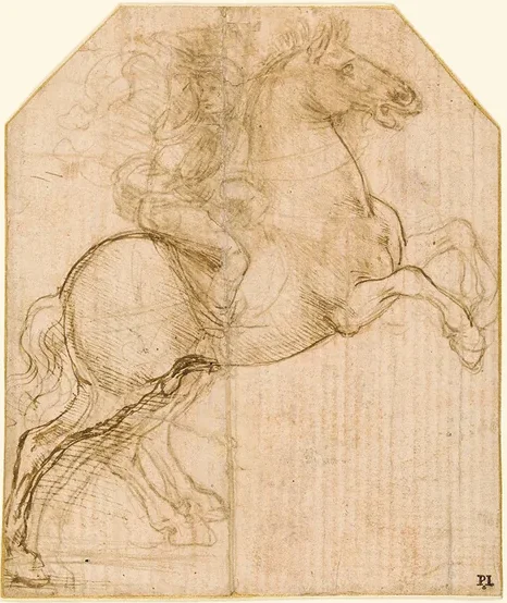 Cavalier sur un cheval cabré