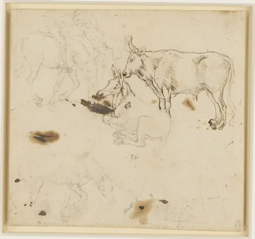Feuille d'études d'un bœuf, d'un âne et d'autres figures