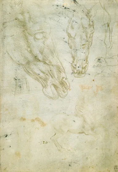 Studies of Horses' Heads