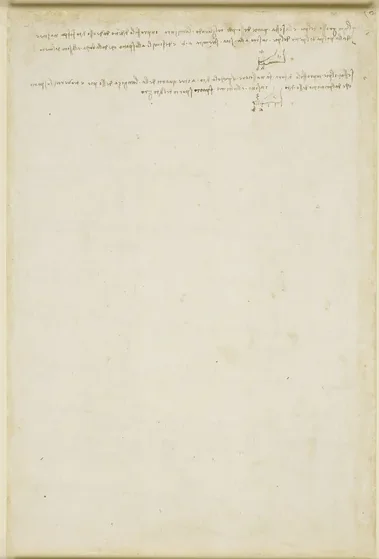 Studies of the Proportions of the Foot